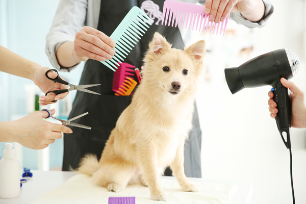 groomed